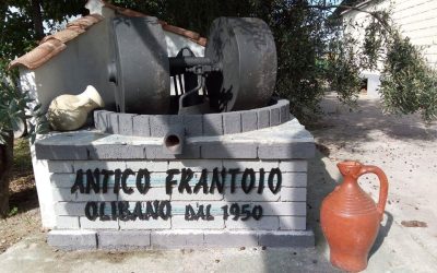 Visita frantoio Olibano